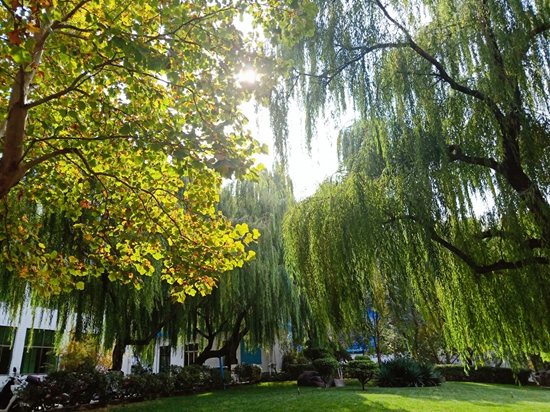 “醉美”重山秋30