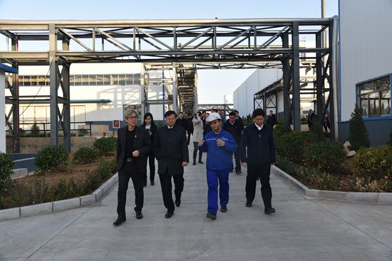 淄川區(qū)2019年度科學(xué)發(fā)展暨基層黨建現(xiàn)場觀摩點評 ——觀摩重山集團(tuán)重點項目50