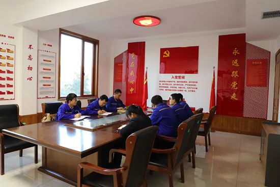 紅紅臉 出出汗 思想體檢促整改——集團各黨支部召開專題組織生活會0