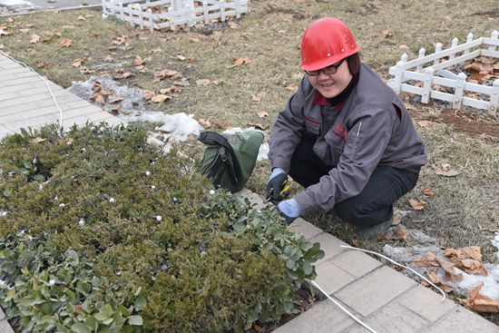 大紅燈籠高高掛 喜氣洋洋過春節(jié)68