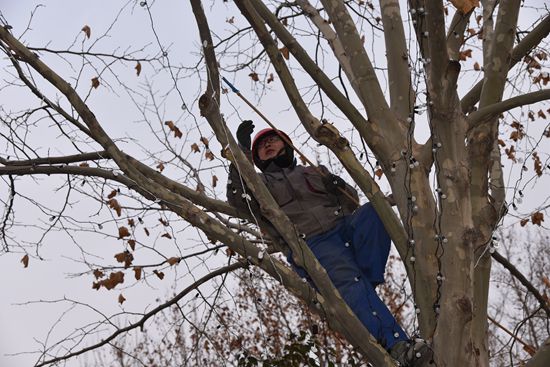 大紅燈籠高高掛 喜氣洋洋過春節(jié)68