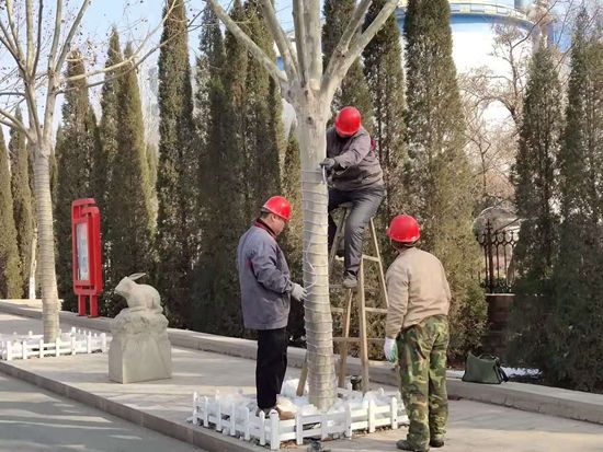 美麗重山的踐行者——記魯中水泥動力車間46