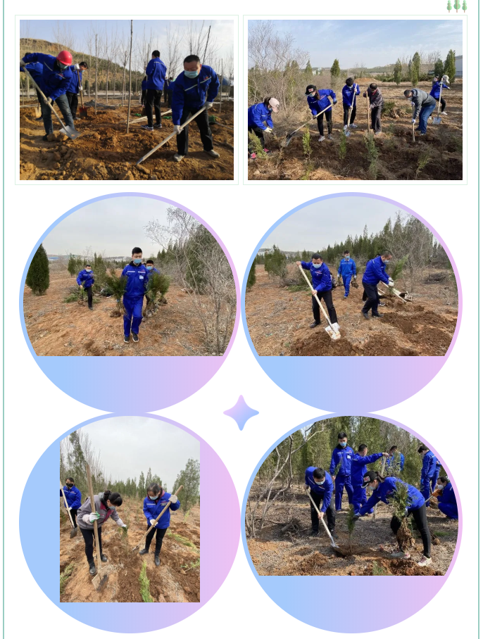 植一片希望 愿山河無恙14