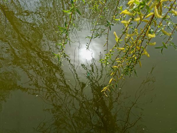 重山春已到 奮斗正當(dāng)時(shí)21