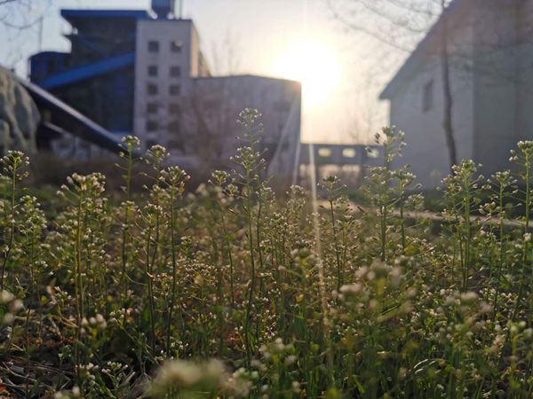 重山春已到 奮斗正當(dāng)時(shí)21