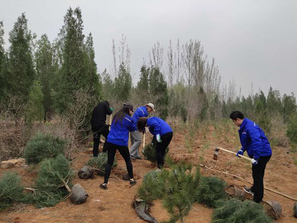 植樹綠化進行時70