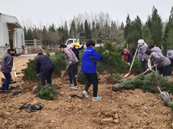 植樹綠化進行時70