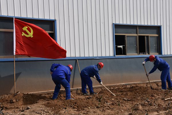 黨旗紅 春意濃 ——重山光電黨支部開展植樹綠化主題黨日活動(dòng)68