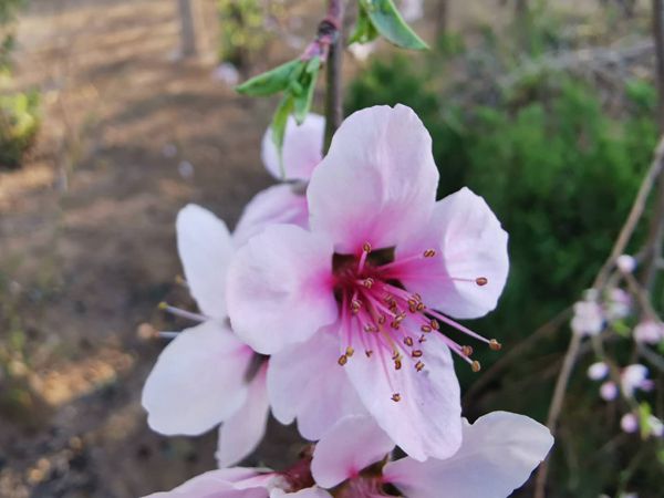 【重山影像】重山春已到 奮斗正當(dāng)時(shí)(二)20