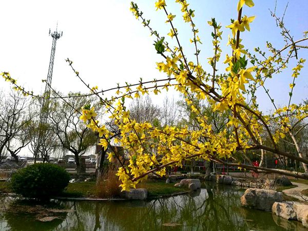 【重山影像】重山春已到 奮斗正當(dāng)時(shí)(二)20