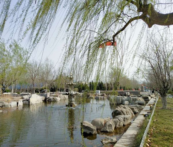 【重山影像】重山春已到 奮斗正當(dāng)時(shí)(二)20