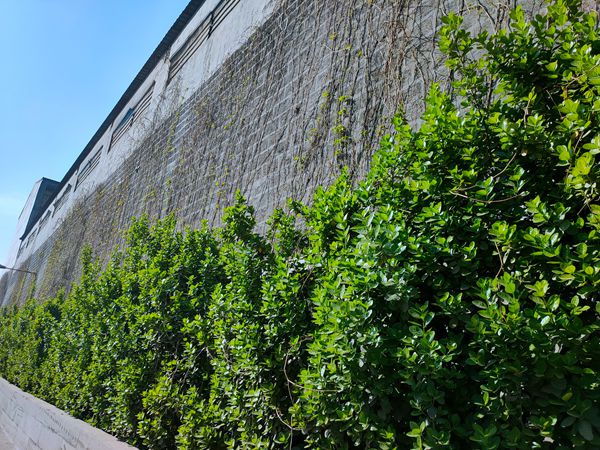 【重山影像】重山春已到 奮斗正當(dāng)時(shí)(二)20