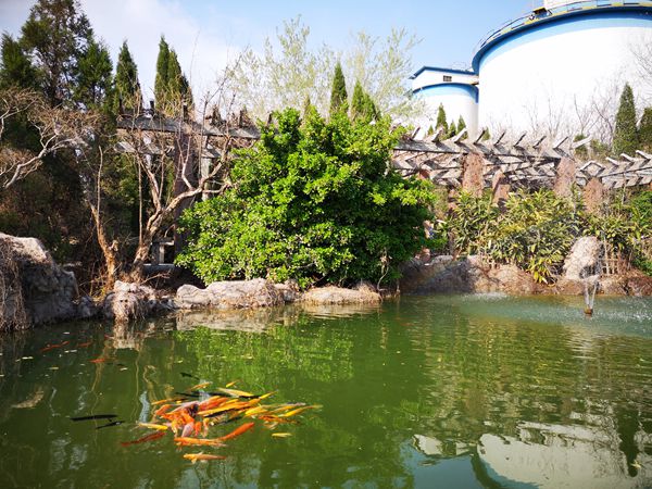 【重山影像】重山春已到 奮斗正當(dāng)時(shí)(二)20