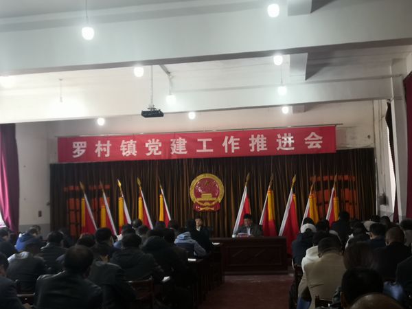 集團參加羅村鎮黨建工作推進(jìn)會(huì )71