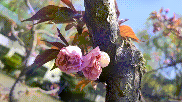 【重山影像】重山春已到 奮斗正當時(shí)（四）28