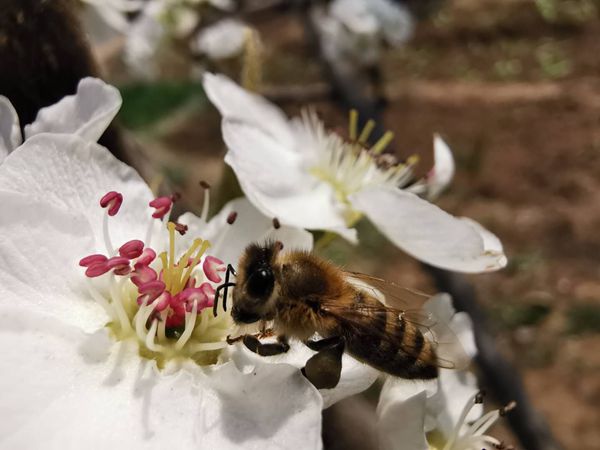 【重山影像】重山春已到 奮斗正當時(shí)（四）28
