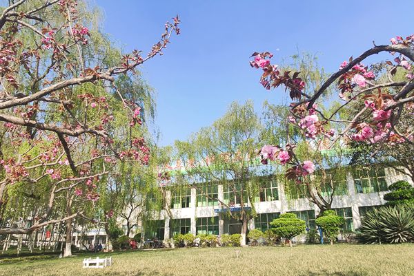 【重山影像】重山春已到 奮斗正當時(shí)（四）28