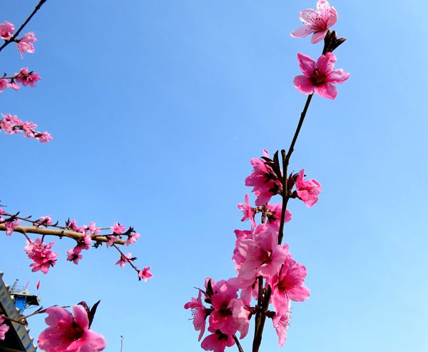 【重山影像】重山春已到 奮斗正當時(shí)（四）28