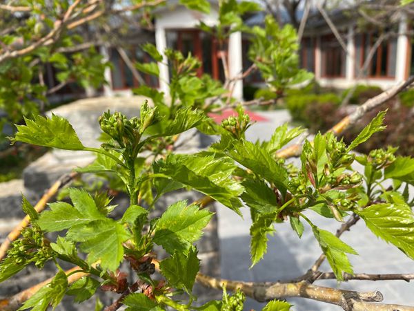 【重山影像】重山春已到 奮斗正當時(shí)（四）28