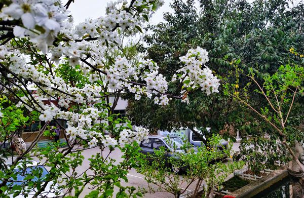 【重山影像】重山春已到 奮斗正當時(shí)（四）28