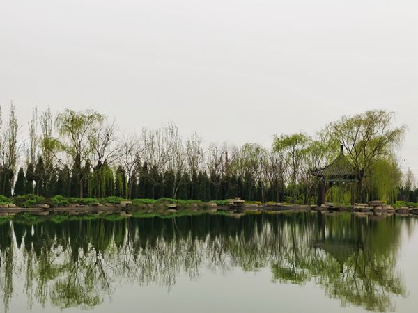 【重山影像】重山春已到 奮斗正當時(shí)（四）28