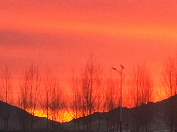 【重山影像】重山春已到 奮斗正當時(shí)（四）28