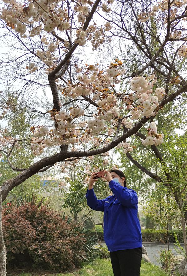 【重山影像】重山春已到 奮斗正當時(shí)（四）28