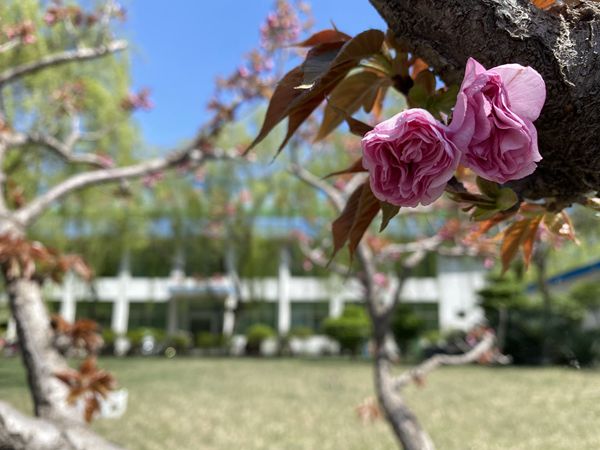 【重山影像】重山春已到 奮斗正當時(shí)（四）28