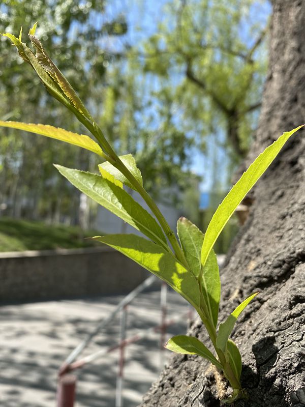 【重山影像】重山春已到 奮斗正當時(shí)（四）28