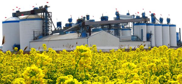 【重山影像】重山春已到 奮斗正當時(shí)（五）2