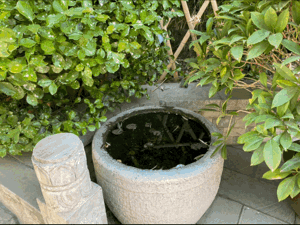 【重山影像】重山春已到 奮斗正當時(shí)（六）25