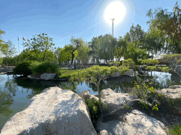 【重山影像】重山春已到 奮斗正當時(shí)（六）25