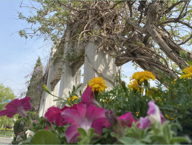 【重山影像】重山春已到 奮斗正當時(shí)（六）25