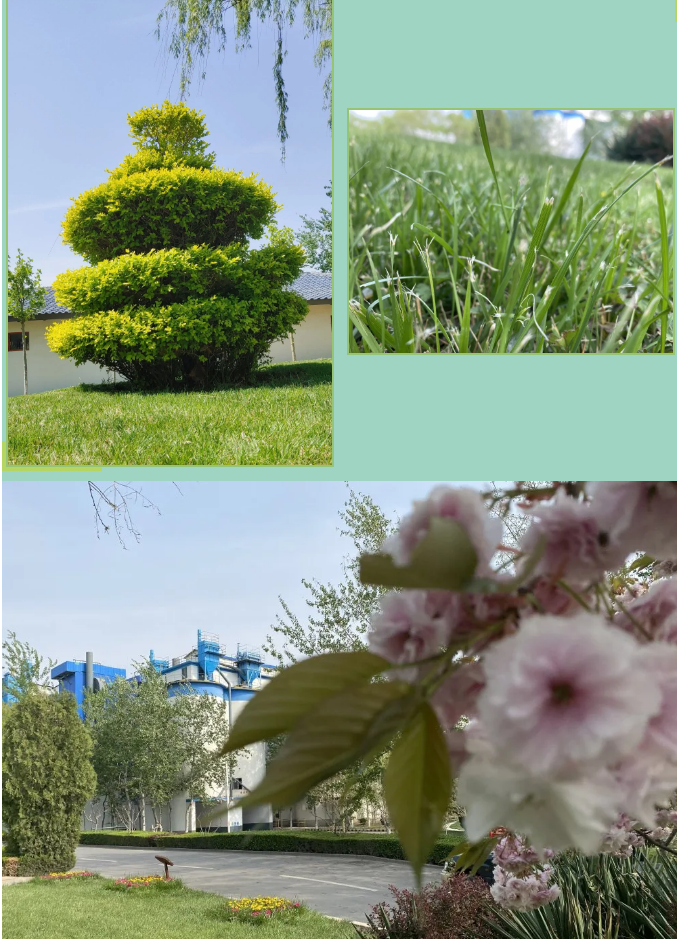 【重山影像】重山春已到 奮斗正當時(shí)（六）25