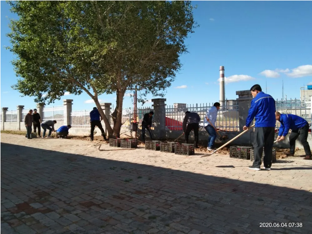 鵬峰化工開(kāi)展綠化活動(dòng)85