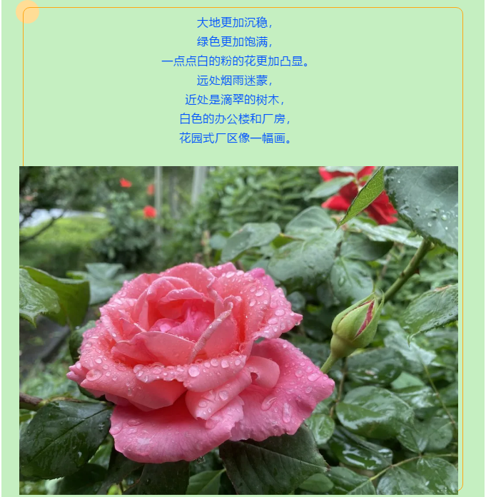 【重山影像】一起來(lái)看雨中的重山64