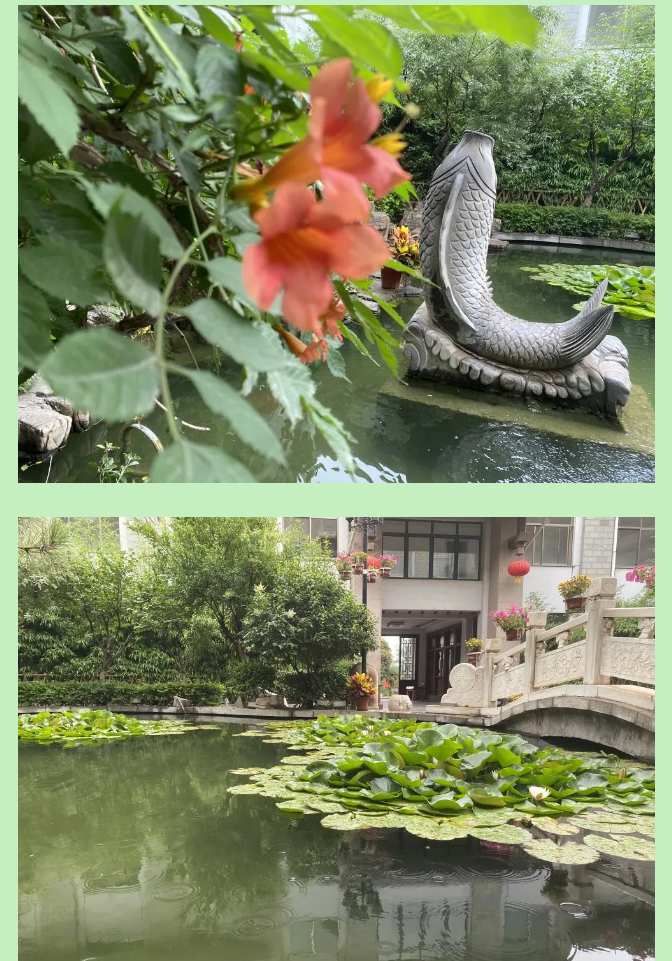 【重山影像】一起來(lái)看雨中的重山64