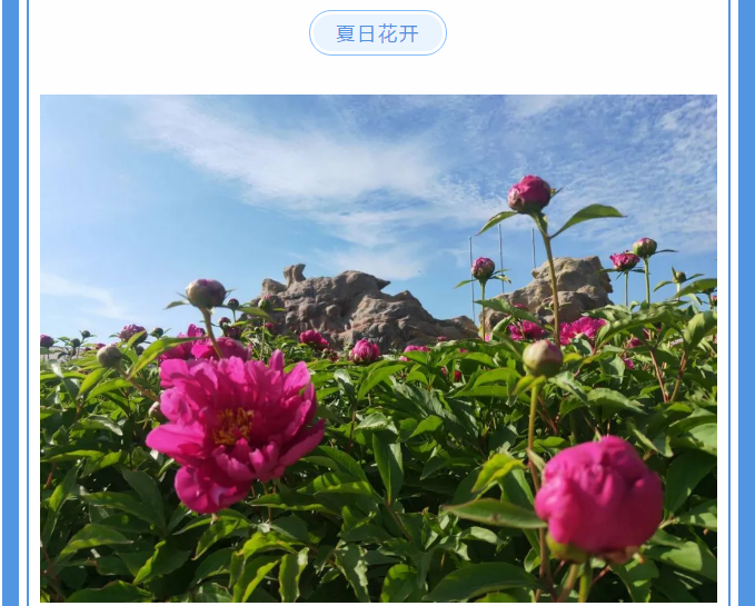 【重山影像】愿你以夢(mèng)為馬 不負韶華94