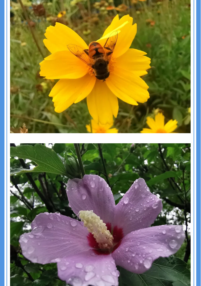 【重山影像】愿你以夢(mèng)為馬 不負韶華94