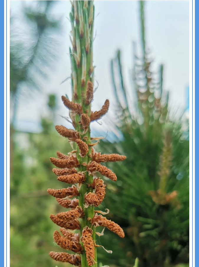 【重山影像】愿你以夢(mèng)為馬 不負韶華94