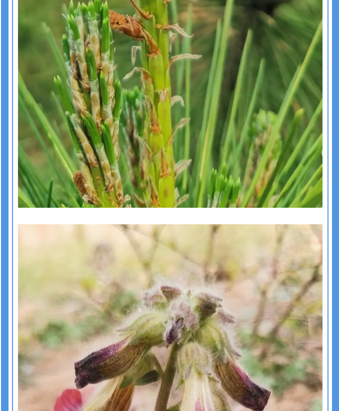 【重山影像】愿你以夢(mèng)為馬 不負韶華94