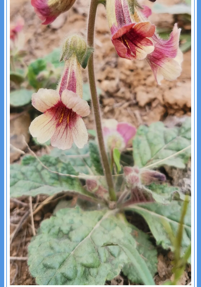 【重山影像】愿你以夢(mèng)為馬 不負韶華94