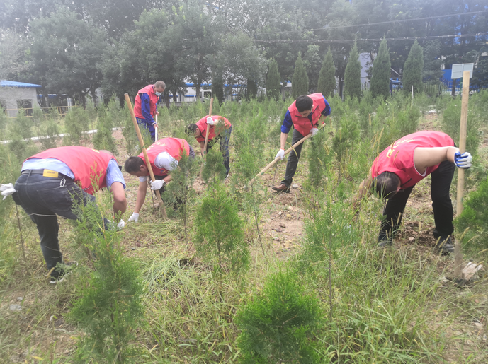 黨員動(dòng)起來(lái) 環(huán)境靚起來(lái)——集團機關(guān)黨支部組織志愿服務(wù)活動(dòng)22