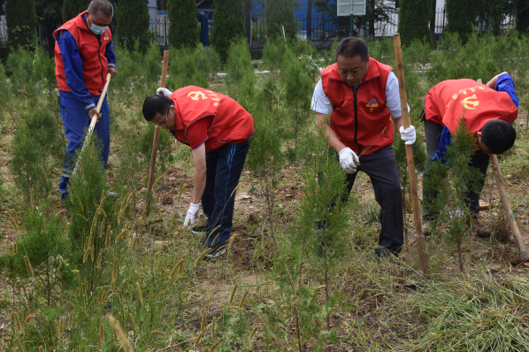 黨員動(dòng)起來(lái) 環(huán)境靚起來(lái)——集團機關(guān)黨支部組織志愿服務(wù)活動(dòng)22