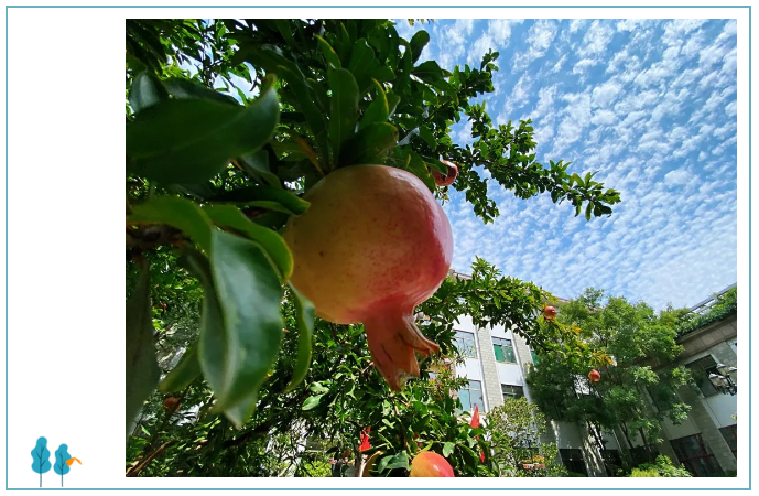 重山影像|藍天白云下的綠色重山8