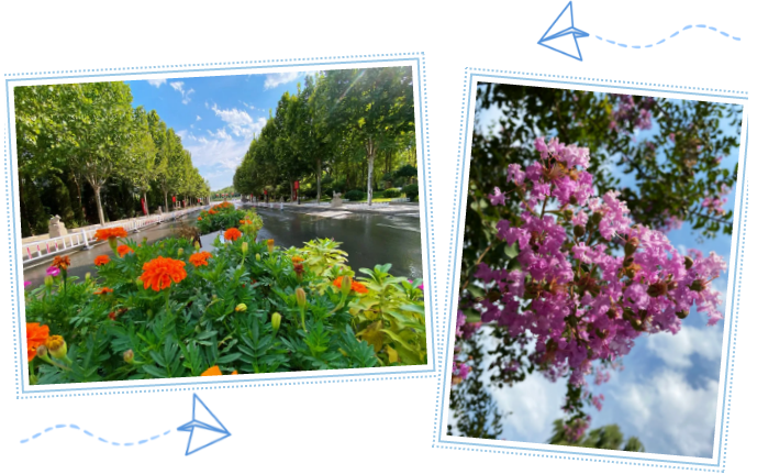 重山影像|藍天白云下的綠色重山8