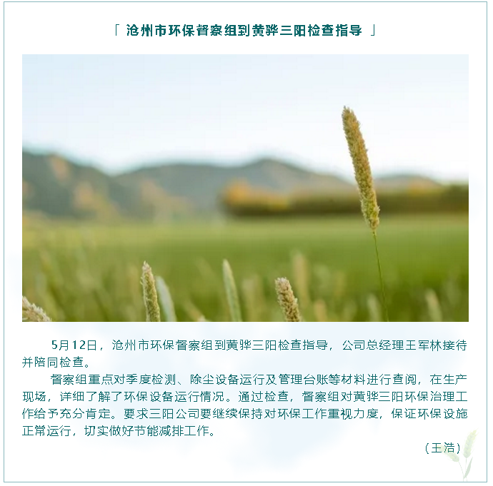 滄州市環(huán)保督察組到黃驊三陽(yáng)檢查指導90