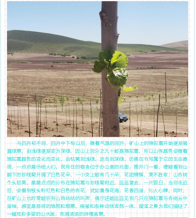 【員工風(fēng)采】螢澤之春2