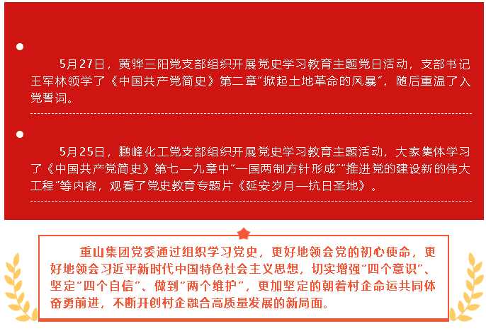 五月份黨史學(xué)習教育簡(jiǎn)報17