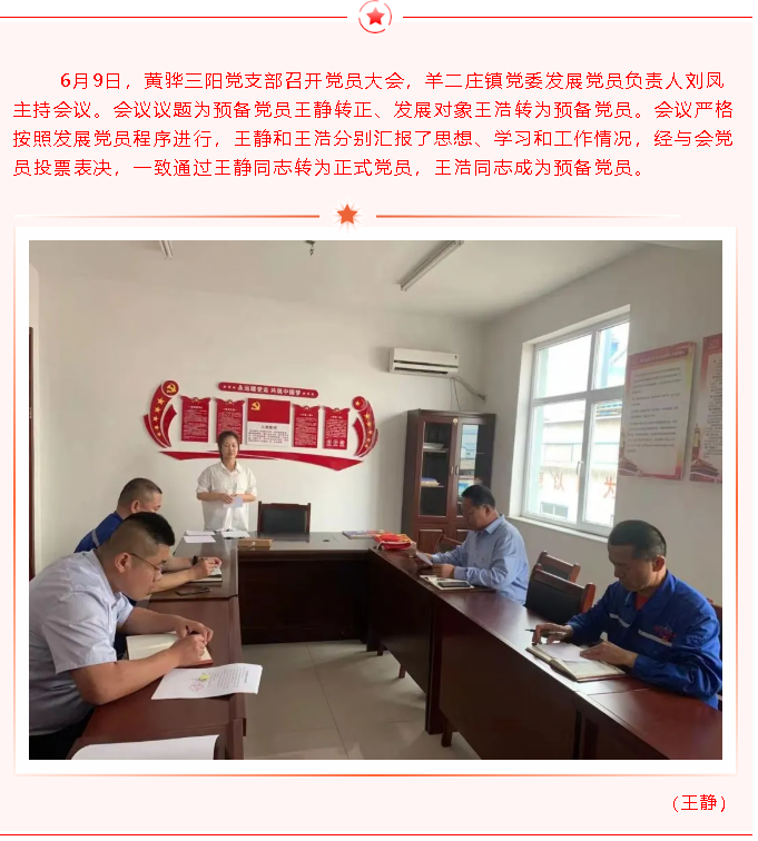 集團黨委召開(kāi)發(fā)展黨員推選會(huì )議8